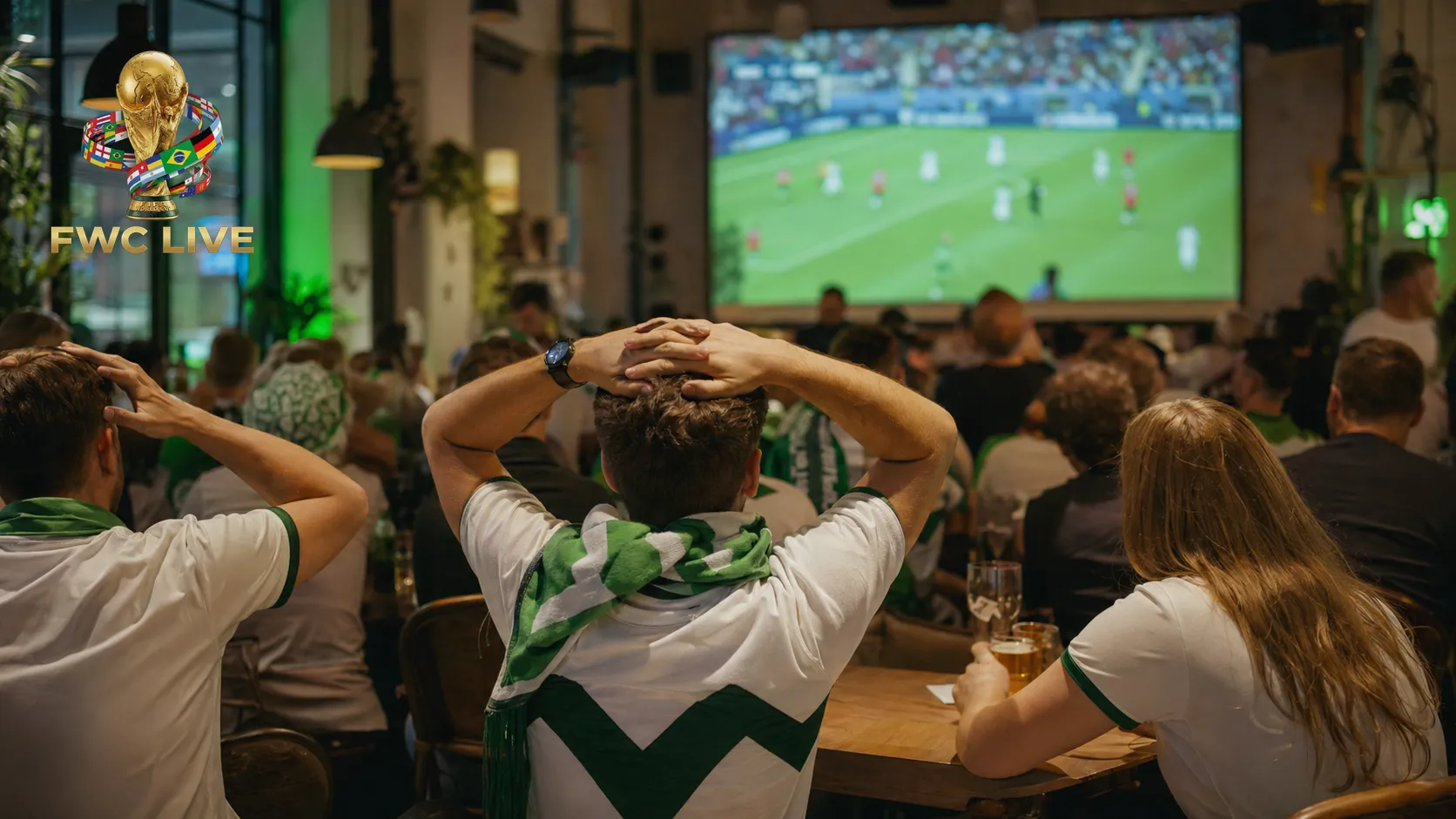 Slovenia football fans watching FIFA World Cup 2026 coverage in Ljubljana