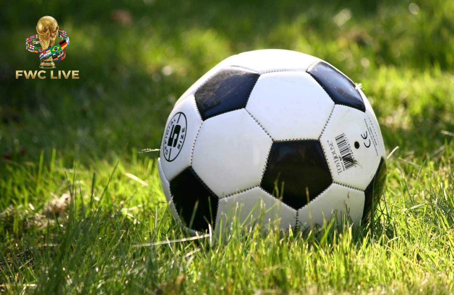 Newark Ironbound area promoted as a fan hub before World Cup 2026